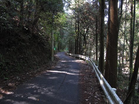 20140419hike (12)